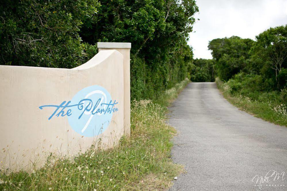 לינה וארוחת בוקר פורט אליזבת' The Plantation מראה חיצוני תמונה